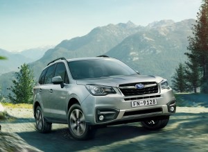 forester (1)